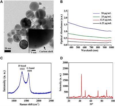 Carbon-Coated Magnetic Nanoparticle Dedicated to MRI/Photoacoustic Imaging of Tumor in Living Mice